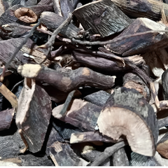 Dried Leea indica Burm.f. Merr 100g.