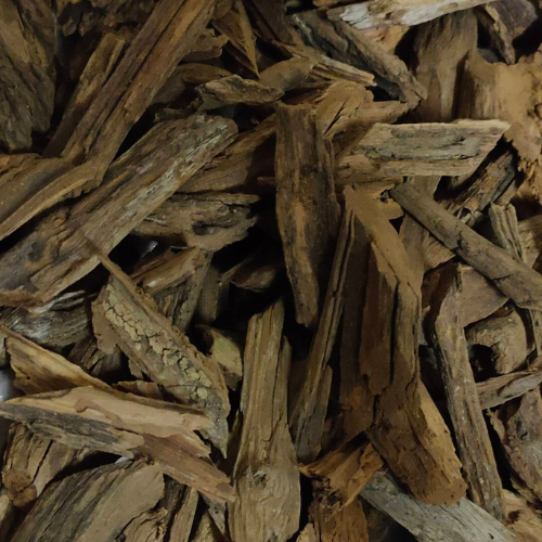Dried Malayan spurge tree Triangular spurge 100g. Euphorbia antiquorum L.