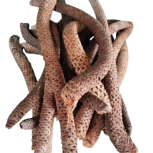Dried Toddy palm inflorescence 100g. Palmyra palm inflorescence