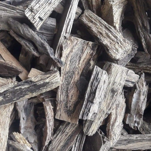Dried Avicennia marina Forssk. Vierh 100g. Sea mangrove