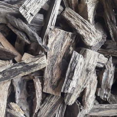 Dried Avicennia marina Forssk. Vierh 100g. Sea mangrove
