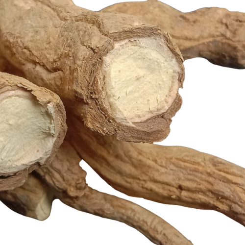 Dried Rauvolfia serpentina (L.) Benth. ex Kurz 100g. Indian snakeroot