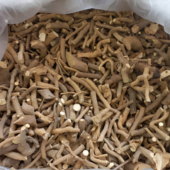 Dried Tinospora crispa Root 100g.
