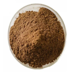 Ligusticum Chuanxiong Szechuan Lovage Powder 100g. Ligusticum striatum DC