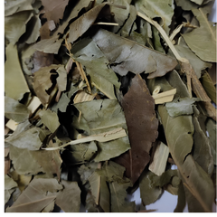 Dried Putranjiva roxburghii Wall 100g.