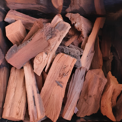 Dried Dracaena conferta Ridl 100g.