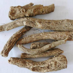 Dried Costus Costus Root 100g. Aucklandia lappa DC