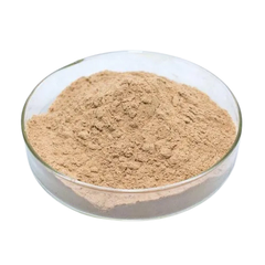 Purple fruited pea eggplant Thai nightshade Vine Powder 100g. Solanum trilobatum L