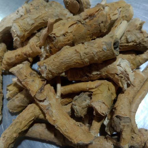 Dried Cladogynos orientalis Zipp. ex Span 100g.