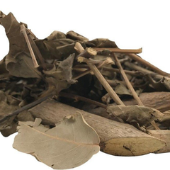 Dried Garden Quinine 100g. Volkameria inermis L.