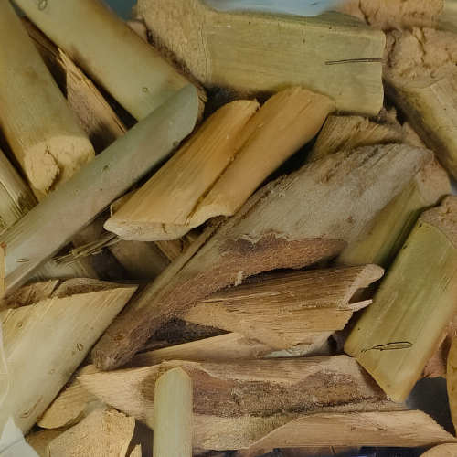 Dried Caryota mitis Lour. 100g.