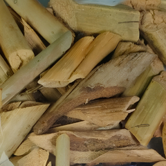 Dried Caryota mitis Lour. 100g.
