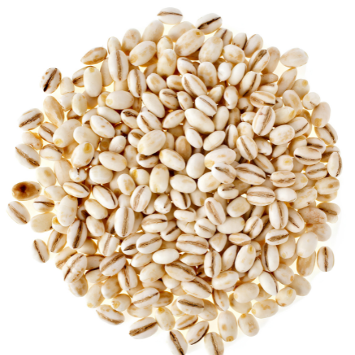 Barley 100g. Hordeum vulgare