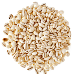 Barley 100g. Hordeum vulgare