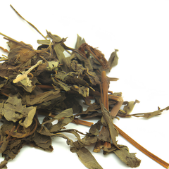 Dried Eupatorium fortunei Turcz 100g.