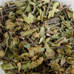 Dried Justicia gendarussa Burm.f 100g.