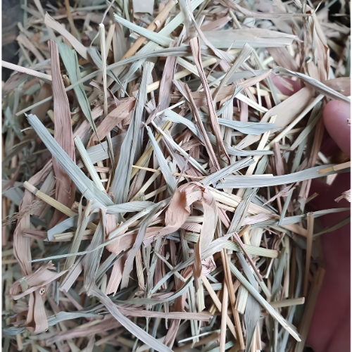 Dried Leersia hexandra Sw. 100g.