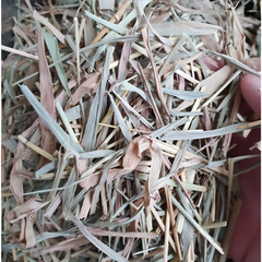 Dried Leersia hexandra Sw. 100g.