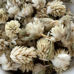 Dried White Gomphrena globosa L Flower 100g. Globe Amaranth