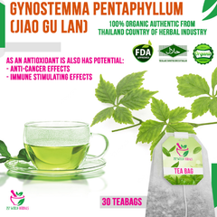 Gynostemma Pentaphyllum Jiaogulan 30 Teabags