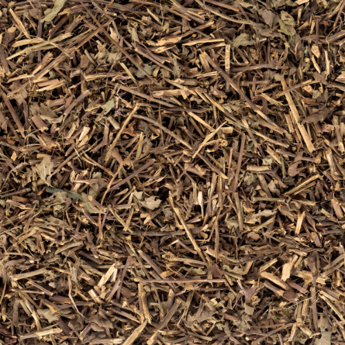 Dried Orthosiphon aristatus Blume Miq 100g. Cat's whisker Java tea
