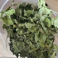 Dried Spearmint Leaf 100g. Mentha spicata L