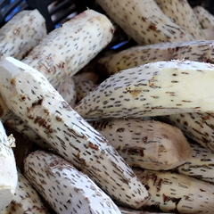 Dried Pineapple rhizome 100g.