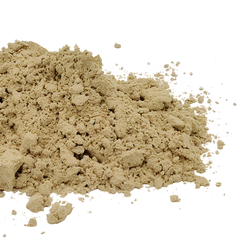 Mimosa pudica L. Powder 100g.