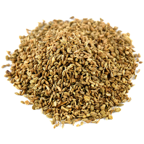 Trachyspermum ammi L. Sprague 100g. Ajowan Carom seeds Bishop's weed