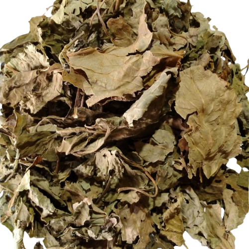 Dried Pogostemon cablin Blanco Benth 100g. Indian patchouli