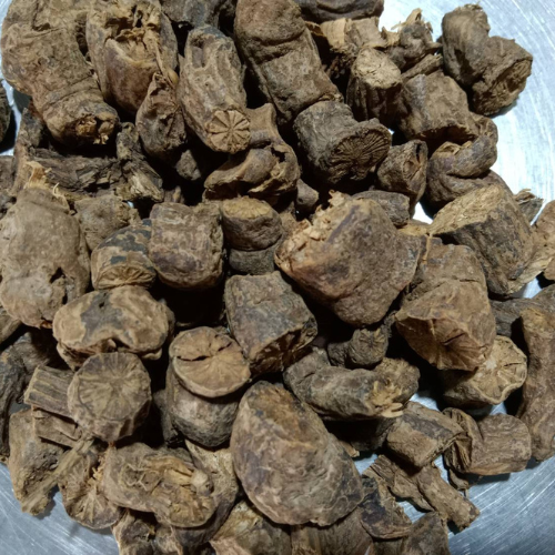 Dried Cissampelos pareira L. 100g. Icevine Pareira brava