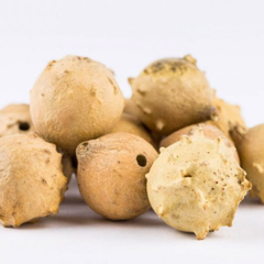 Dried Aleppo Galls Downy Oak Nutgall Gallnut 100g.