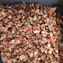 Dried Ironwood 100g. Ceylon ironwood Cobra saffron