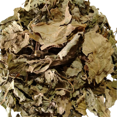 Dried Pogostemon cablin Blanco Benth 100g. Indian patchouli