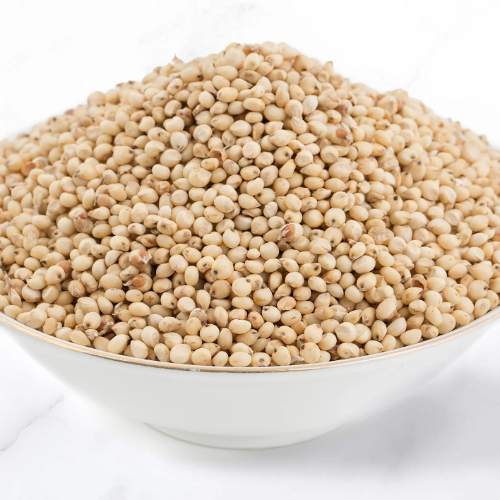 Sorghum bicolor Moderne 100g. White Millet Grain Sorghum