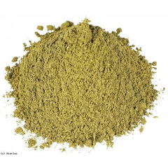 Indian heliotrope Powder 100g. Heliotropium indicum L.