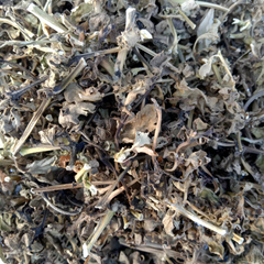Dried Boerhavia diffusa L 100g. Stone purslane or rock purslane
