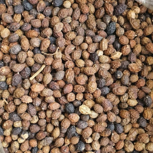 Dried Java brucea Macassar kernels Kosam Seed 100g.