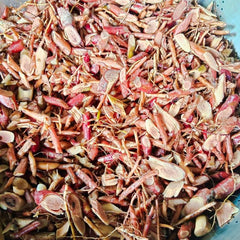 Dried Albizia lucidior 100g.