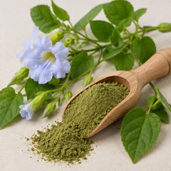Thunbergia Laurifolia Rang Jued Powder 100g image 2