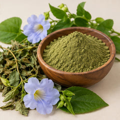 Thunbergia Laurifolia Rang Jued Powder 100g image 4