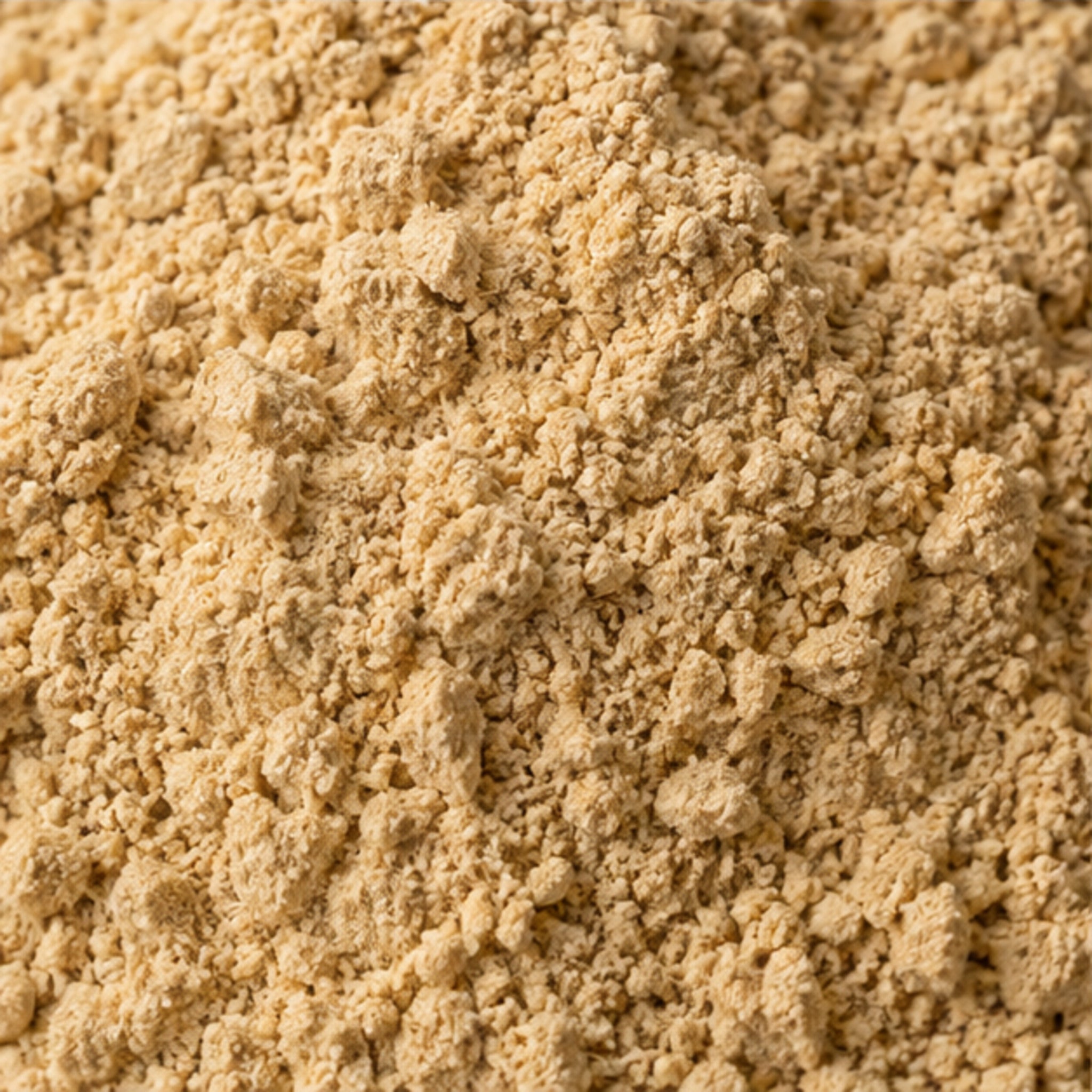 Eurycoma longifolia Tongkat Ali Powder 100g image 3
