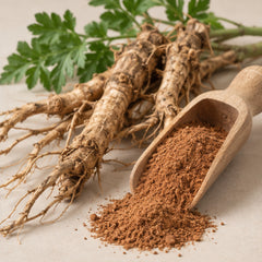Ming Aralia Parsley Panax Powder 100g image 2