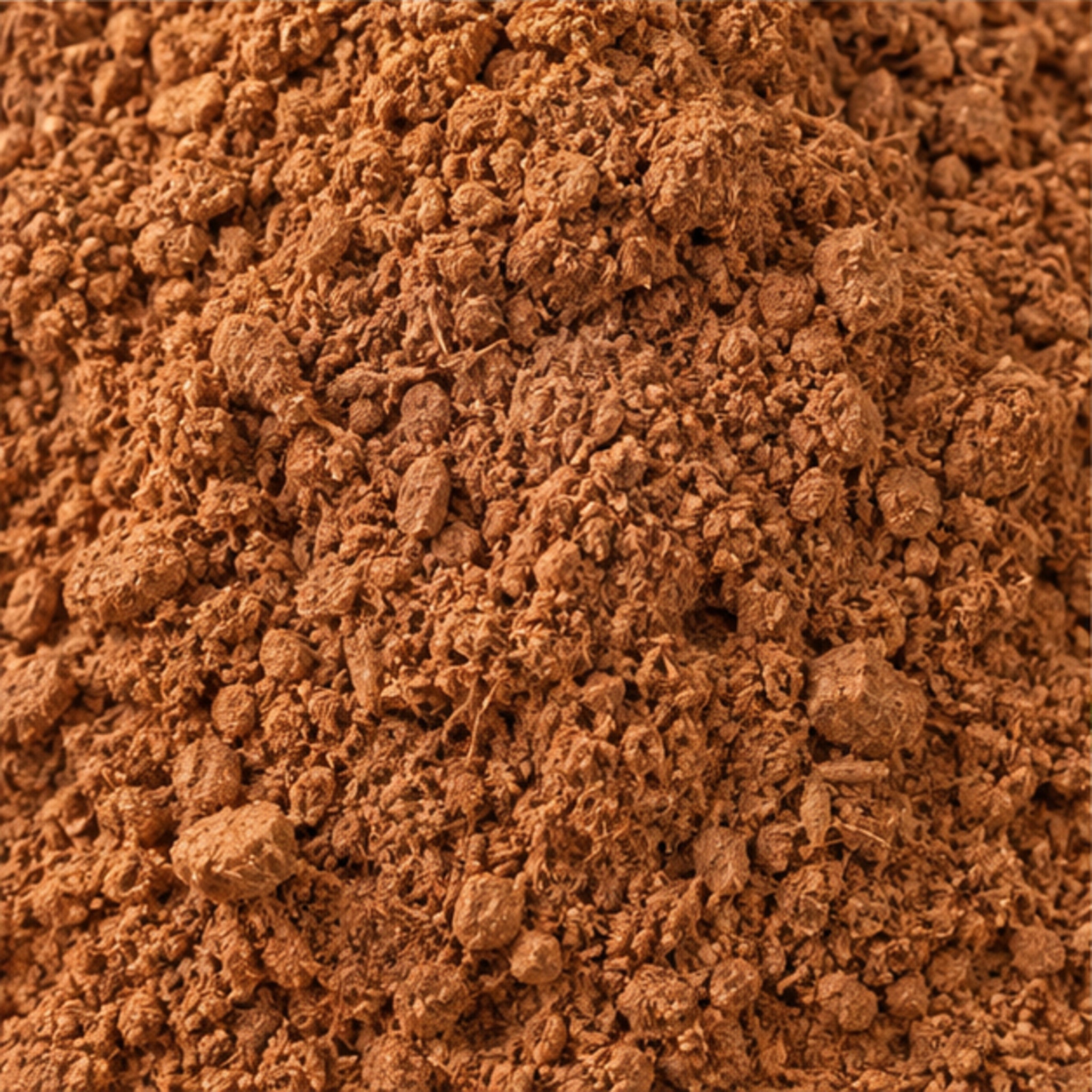 Ming Aralia Parsley Panax Powder 100g image 3