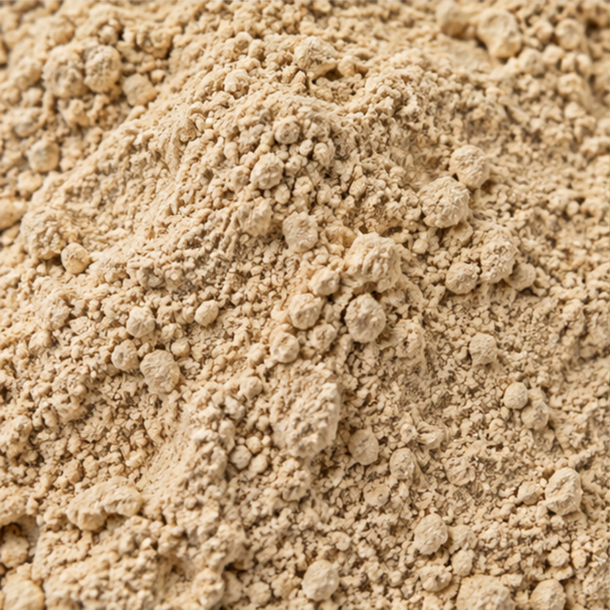 Curcuma aeruginosa roxb Powder 100g. image 3