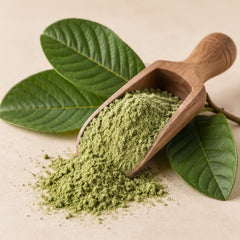 Guava Leaf Powder 100g | Psidium guajava image 2