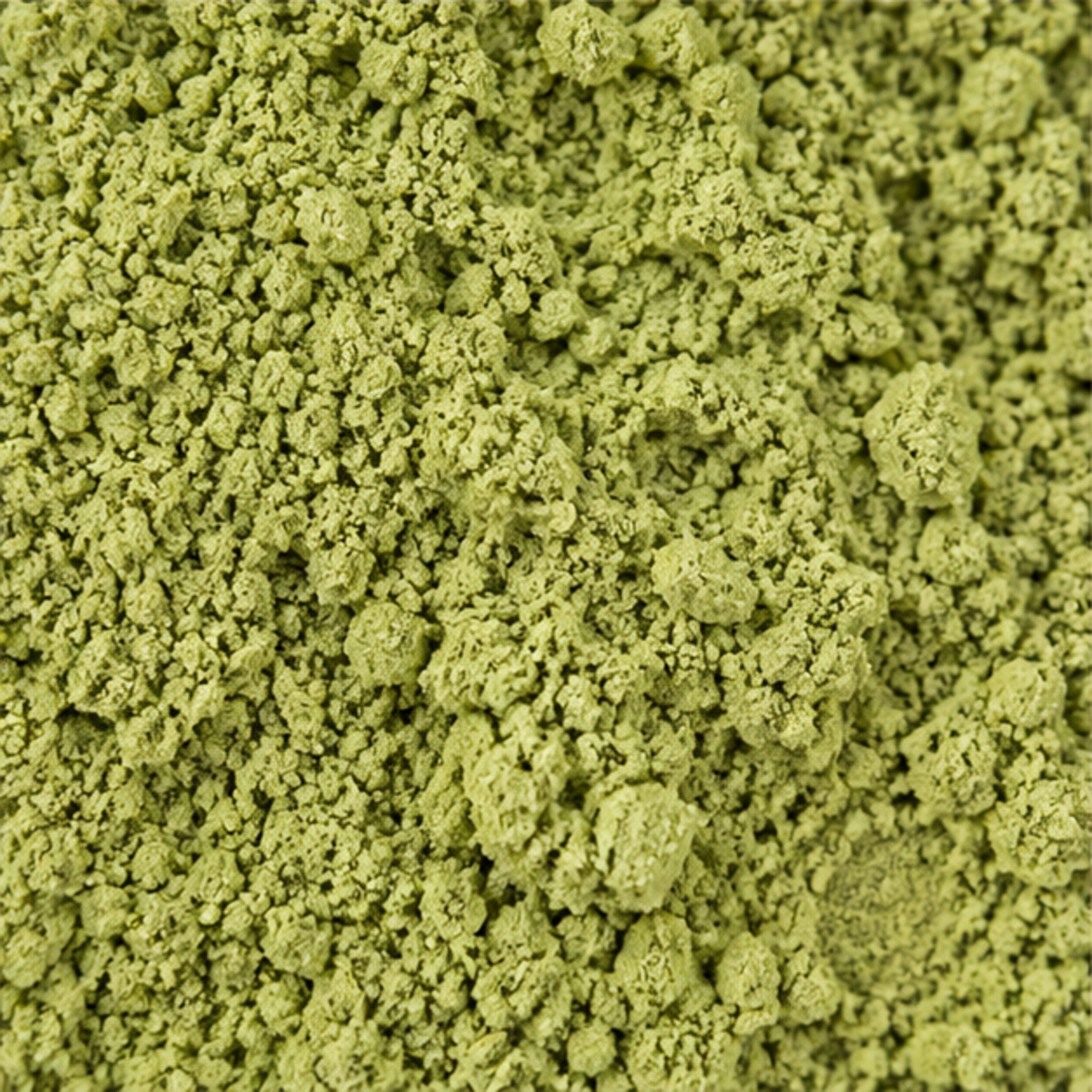 Guava Leaf Powder 100g | Psidium guajava image 3