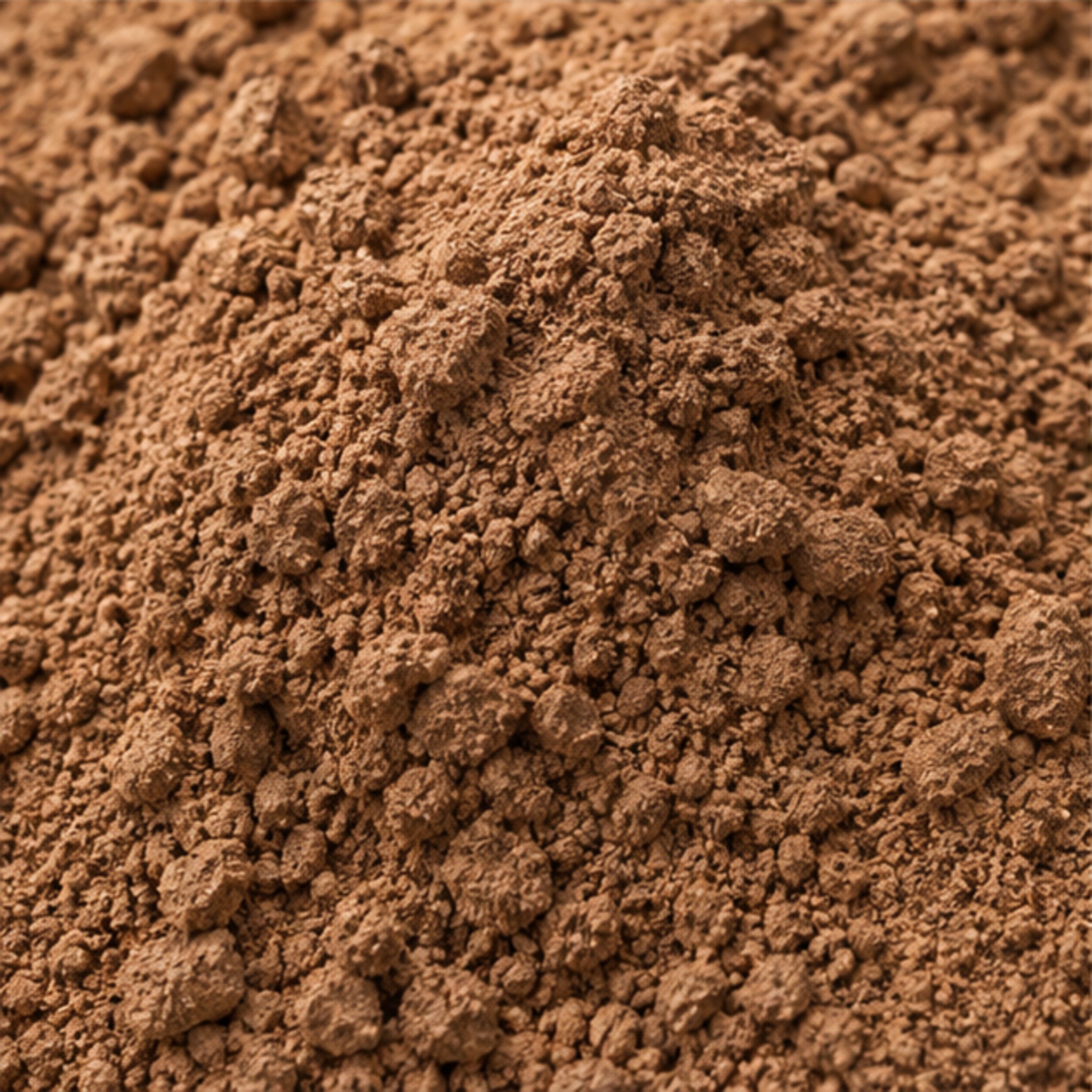 Acacia concinna Willd. Powder 100g. image 3
