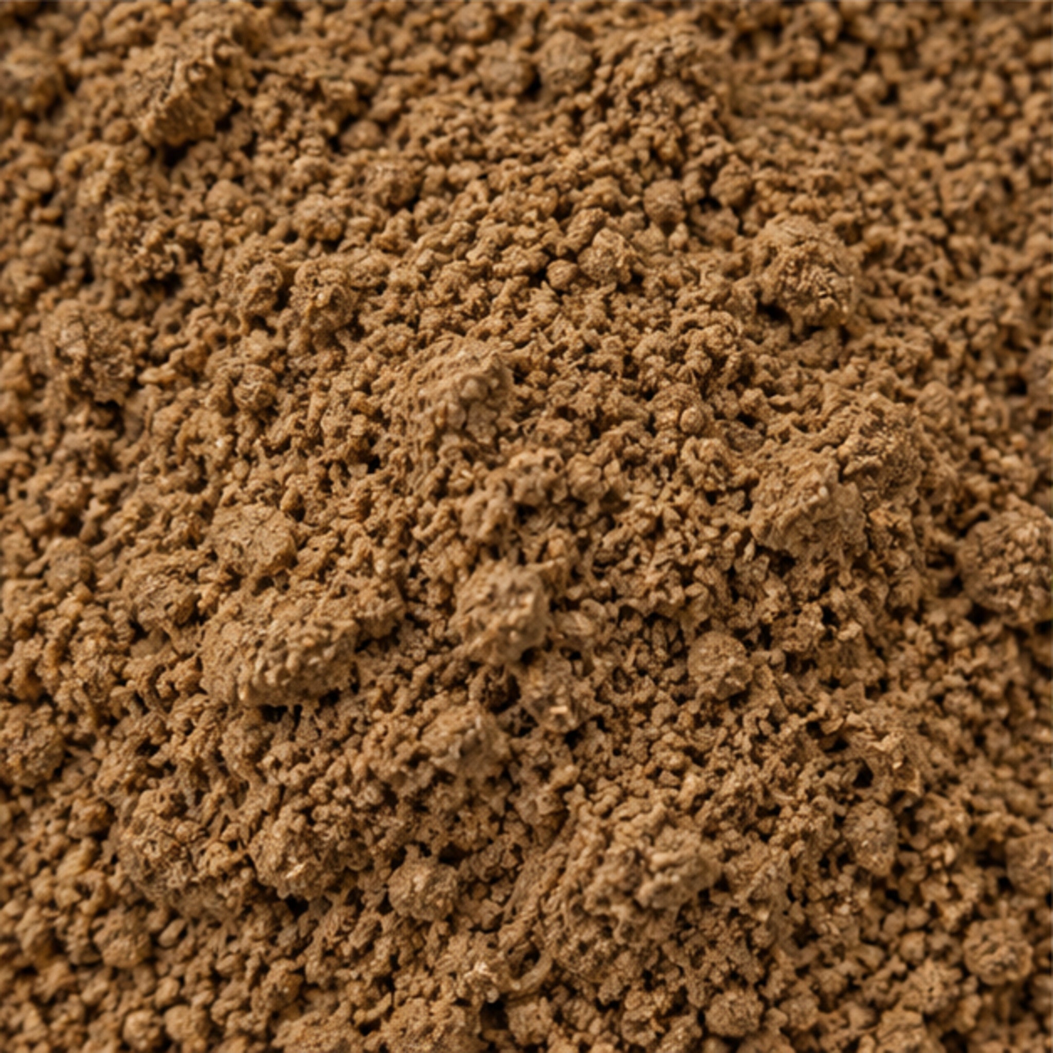 Nut Grass Powder 100g image 3