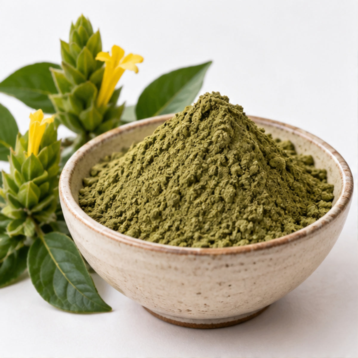Barleria lupulina Powder 100g | Hop-headed Barleria image 1